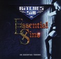 BITCHES SIN/ESSENTIAL SINS