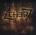LETTER 7/FOLLOW THE LIGHT